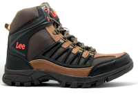 LEE 546 AVELLANA