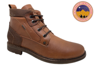 CUSTOM 6220 CAMEL