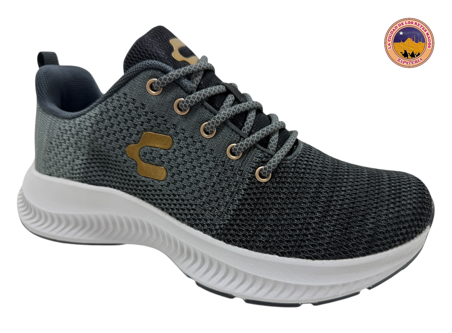 CHARLY 1086455 GRIS