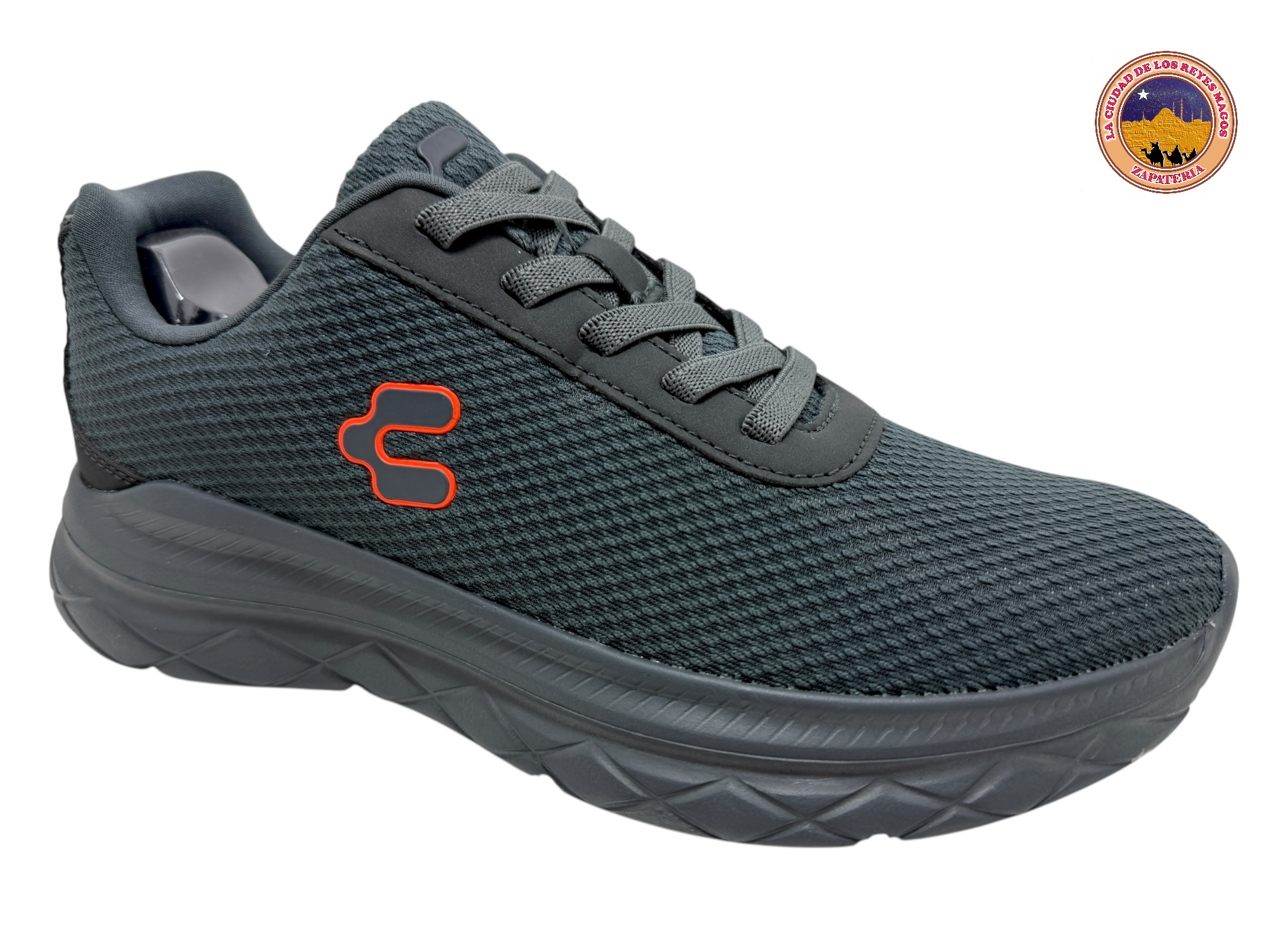 CHARLY 1086602 GRIS