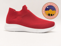 DS 201 ROJO