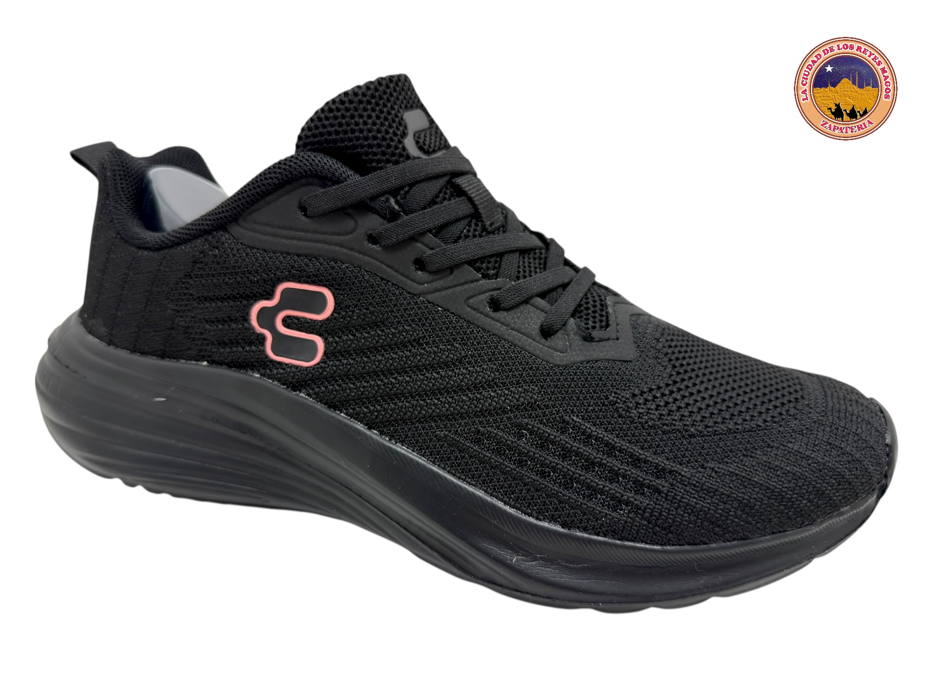 CHARLY 1059305 NEGRO