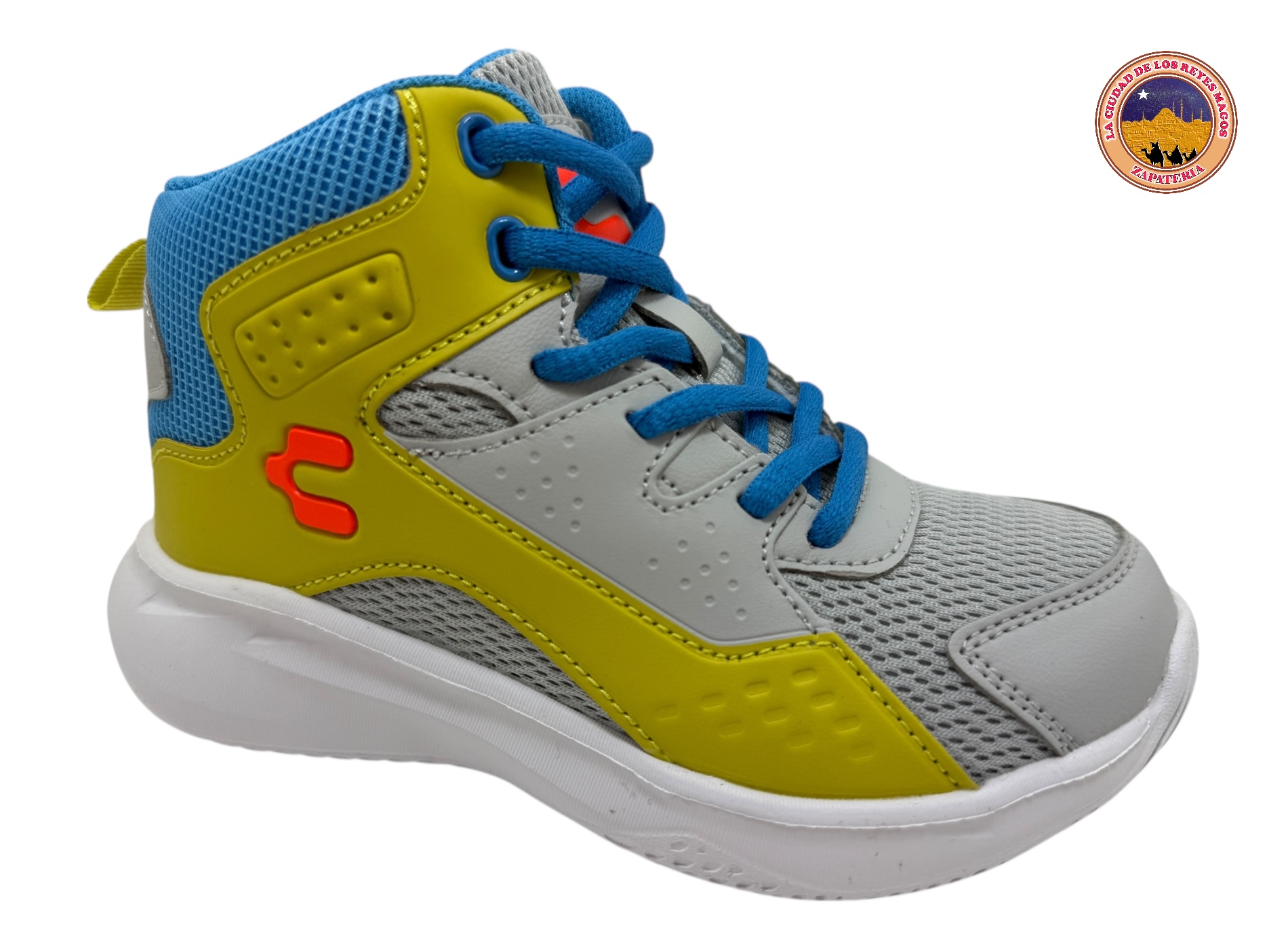 CHARLY 1079398 GRIS